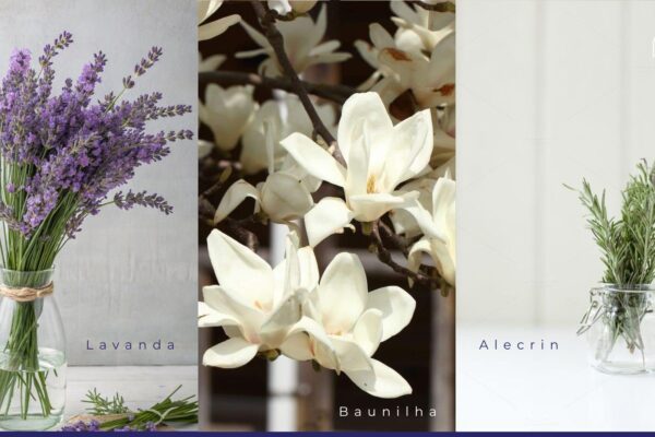O poder dos aromas no lar: como o cheirinho certo transforma sua casa em um refúgio de bem-estar