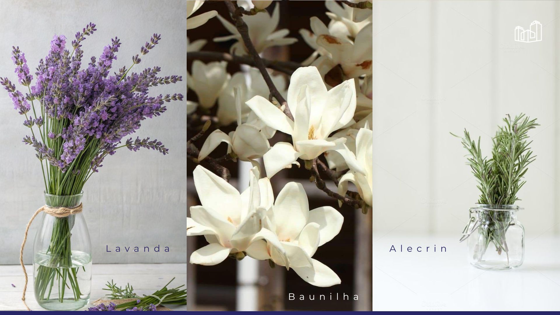O poder dos aromas no lar: como o cheirinho certo transforma sua casa em um refúgio de bem-estar
